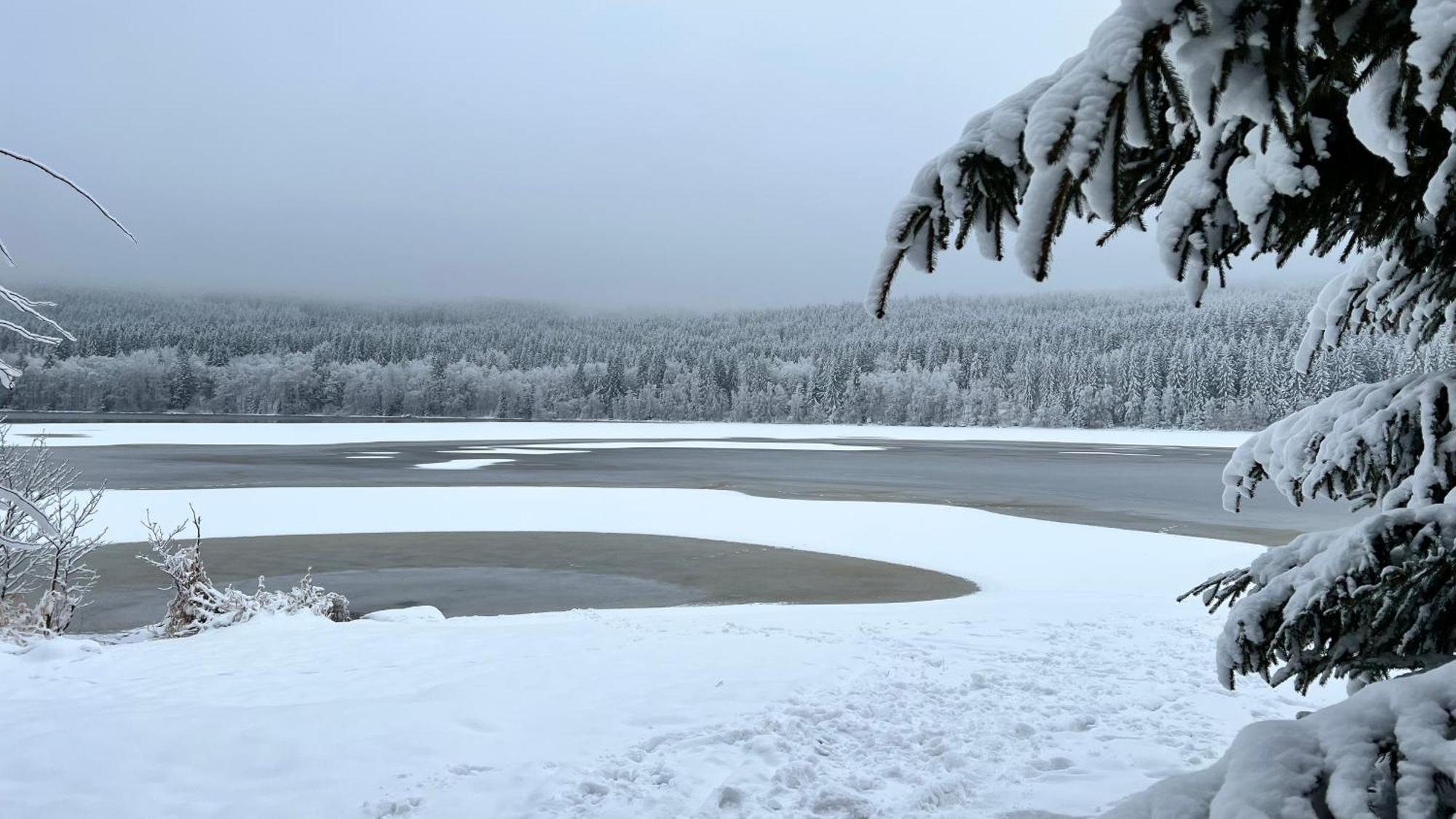 Hauslipno Bungalov Na Lipne Липно-над-Влтавой Экстерьер фото